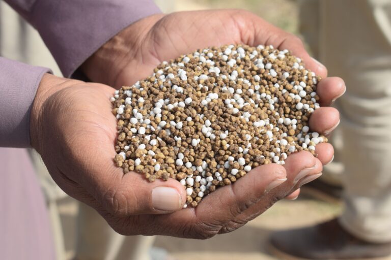 Hands holding granular fertilizer outdoors