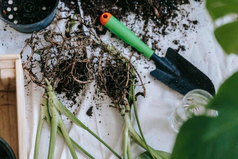 Potting soil beside a small garden shovel